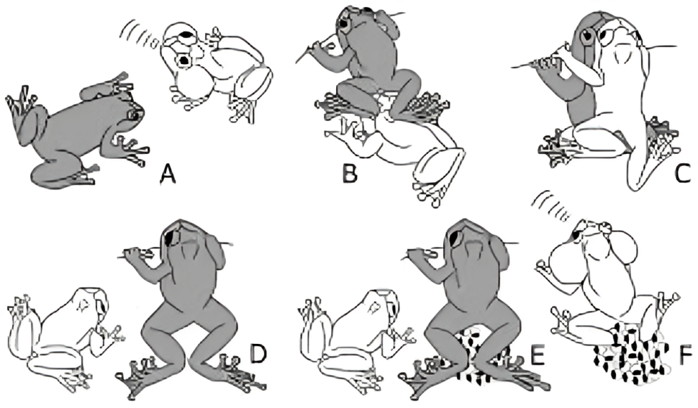 Reverse Mating Press